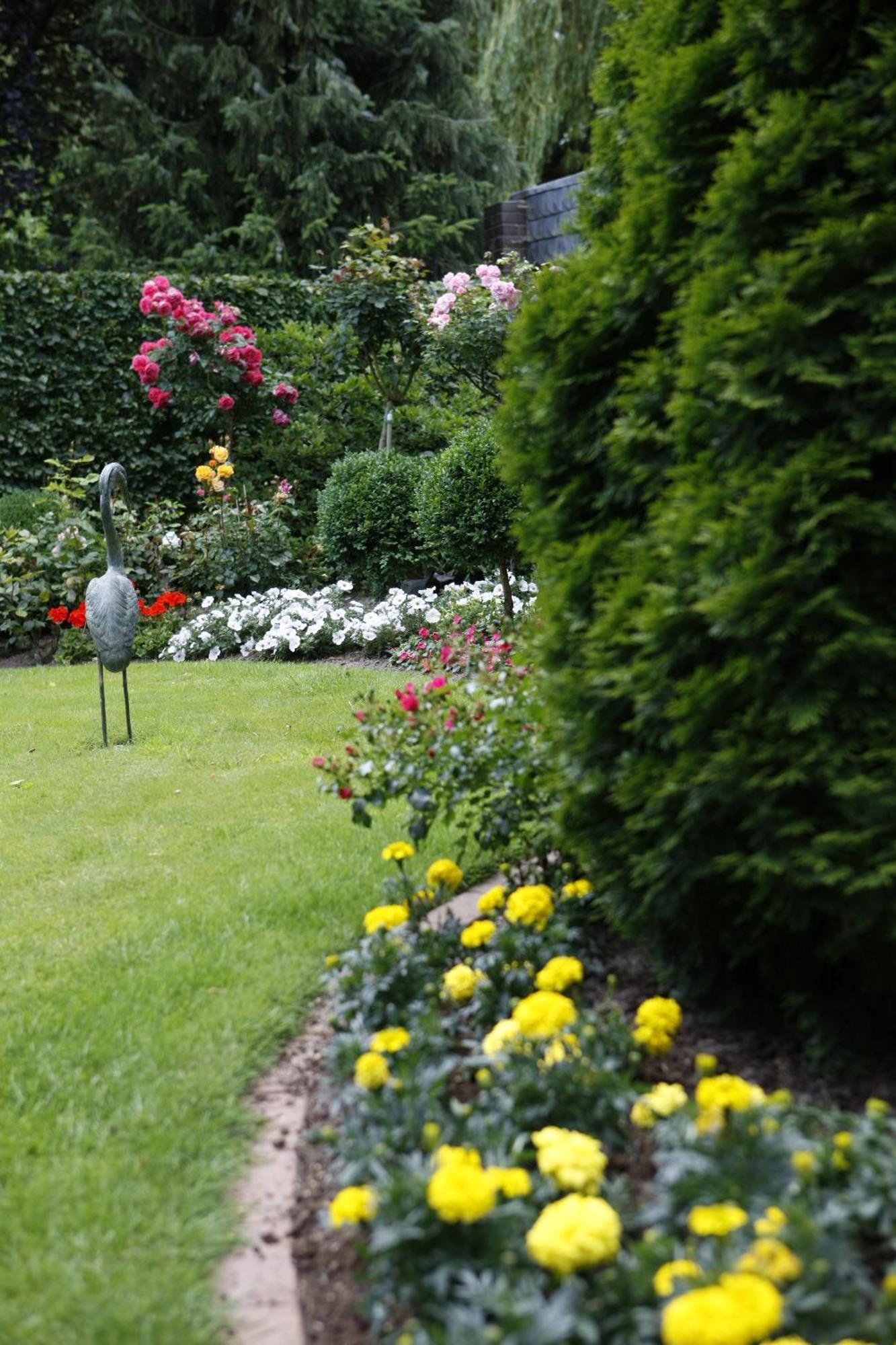 Pension Haus Wernemann Bad Rothenfelde Exterior foto